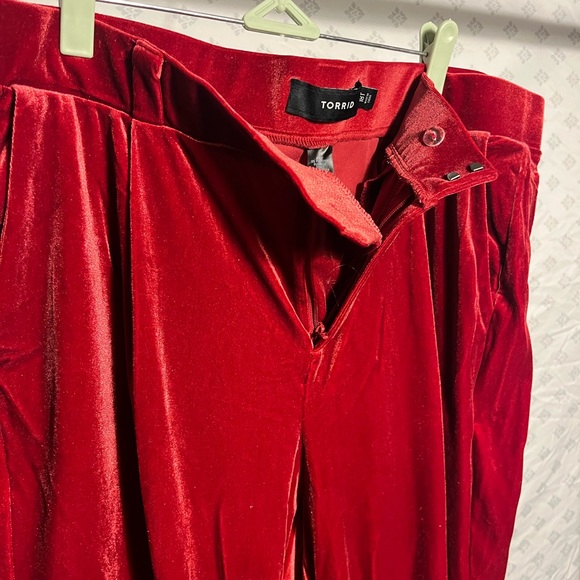 Velvet Red Pants - Picture 7 of 14